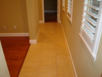 /album/fotogaleria/sp2-jpg/